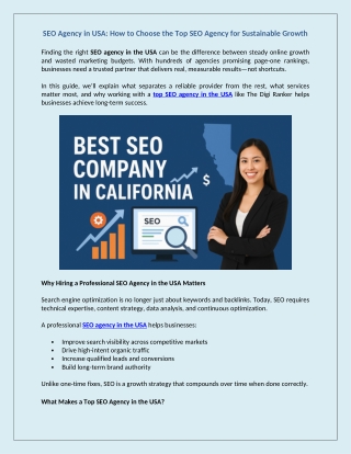 SEO Agency in USA How to Choose the Top SEO Agency for Sustainable Growth