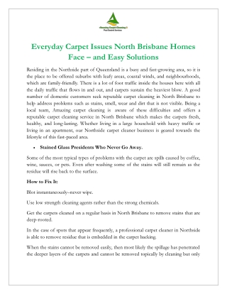 Everyday Carpet Issues North Brisbane Homes Face – and Easy Solutions