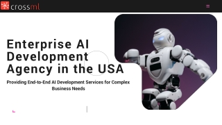 Enterprise AI Development Agency in the USA