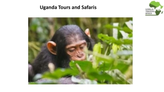 Uganda Tours and Safaris