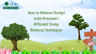 How to Remove Stumps with Precision Efficient Stump Removal Techniques