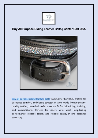 Buy All Purpose Riding Leather Belts