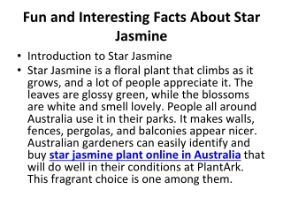 Fun and Interesting Facts About Star Jasmine