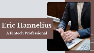 Eric Hannelius - A Fintech Professional