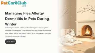 How to Manage Flea Allergy Dermatitis in Pets This Winter
