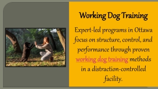 Working Dog Training