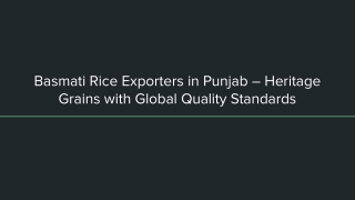 Basmati Rice Exporters in Punjab – Heritage Grains with Global Quality Standards