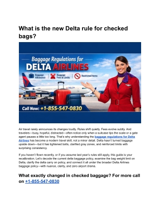 What is the new Delta rule for checked bags