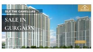 DLF The Camellias Sale in Gurgaon (1)