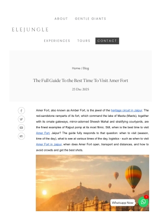 The Full Guide To the Best Time To Visit Amer Fort