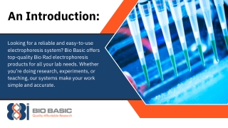 Reliable Bio Rad Electrophoresis Systems | Upgrade Your Experiments with Bio Bas