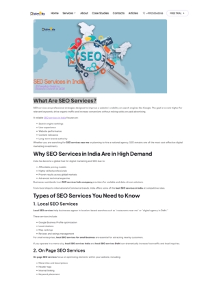 What Are SEO Services | Dizimods