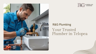 Professional and Reliable Plumbing Services for Homes and Businesses in Telopea