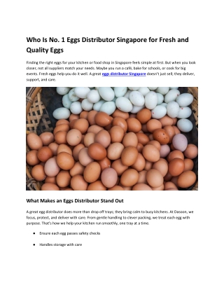 Who Is No. 1 Eggs Distributor Singapore for Fresh and Quality Eggs