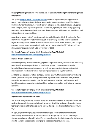 Hanging Mesh Organizers for Toys Market Set to Expand with Rising Demand