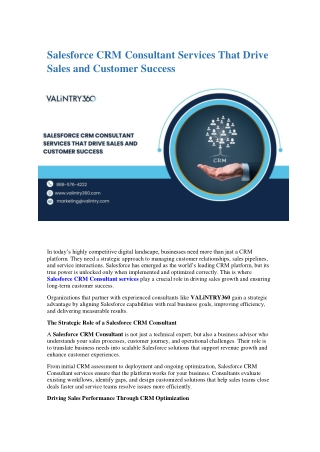 Salesforce CRM Consultant