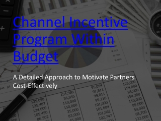 Channel Incentive Program within Budget: A Detailed Approach
