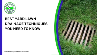 Effective Yard And Lawn Drainage Techniques Explained Clearly
