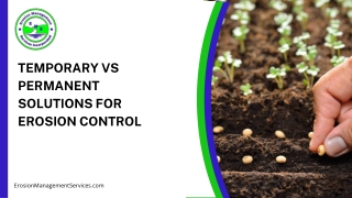 Temporary And Permanent Seeding Approaches For Erosion Control