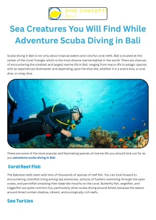 Sea Creatures You Will Find While Adventure Scuba Diving in Bali
