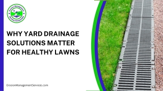 Landscape Drainage Benefits For Long-Term Yard Health