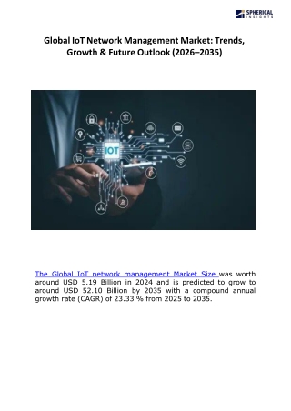 Global IoT Network Management Market size