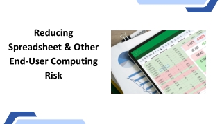Reducing Spreadsheet & Other End-User Computing Risk