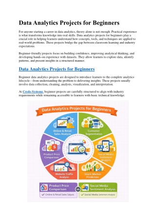 Data Analytics Projects for Beginners_Credo Systemz