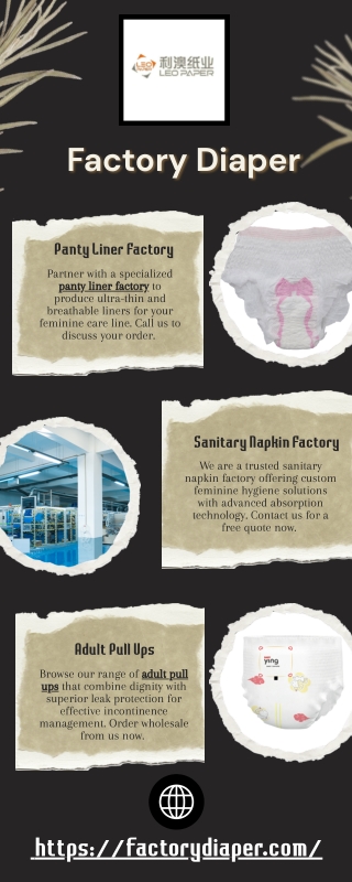 Panty Liner Factory