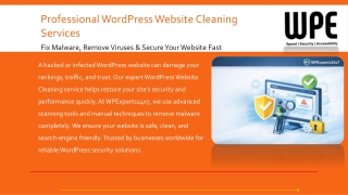 Professional WordPress Website Cleaning Services