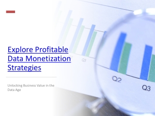 Explore Profitable Data Monetization Strategies in Data Age