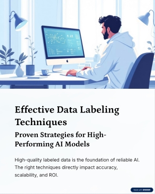 Effective Data Labeling Techniques Proven Strategies for High Performing AI Models