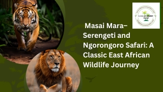 Masai Mara–Serengeti and Ngorongoro Safari A Classic East African Wildlife Journey