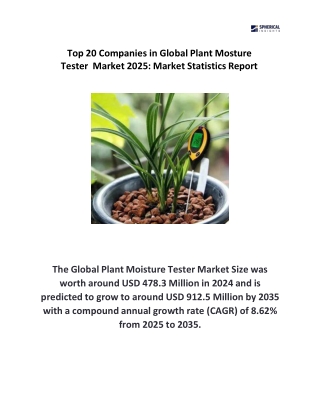 Top 20 Companies in Global Plant Mosture Tester