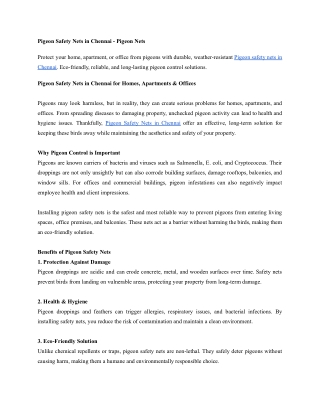 Pigeon Safety Nets in Chennai for Homes, Apartments & Offices