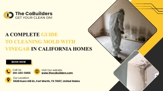 Eco-Friendly Mold Removal Using Vinegar: A California Homeowner’s Guide