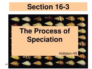 Section 16-3