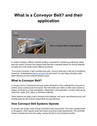 What is a Conveyor Belt_ and their application