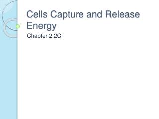 Cells Capture and Release Energy