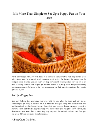 It Is More Than Simple to Set Up a Puppy Pen on Your Own