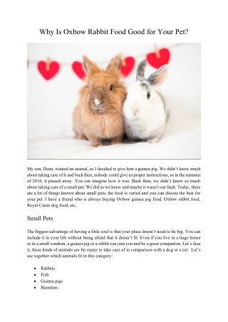 Why Is Oxbow Rabbit Food Good for Your Pet?