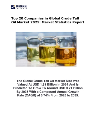 Top 20 Companies in Global Crude Tall Oil