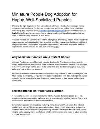 Miniature Poodle Dog Adoption for Happy, Well-Socialized Puppies