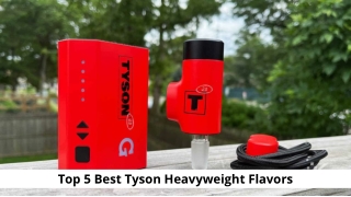 Top 5 Best Tyson Heavyweight Flavors