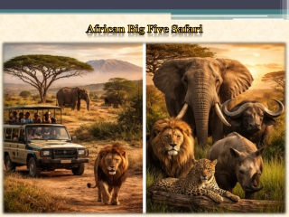 African Big Five Safari