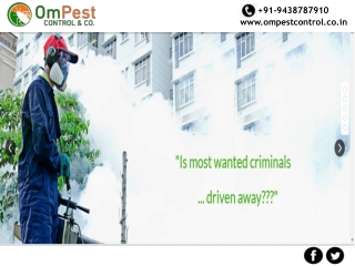 For your Safety Choose the Best Pest Control Company