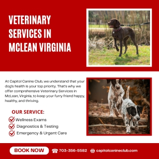 Veterinary Services in McLean Virginia  Capitol Canine Club