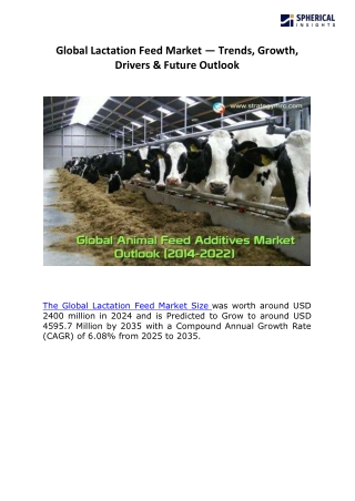 Global Lactation Feed Market