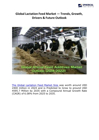 Global Lactation Feed Market