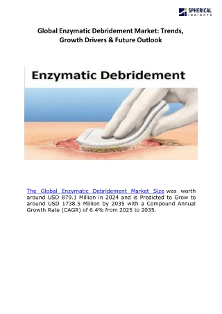 Global Enzymatic Debridement Market